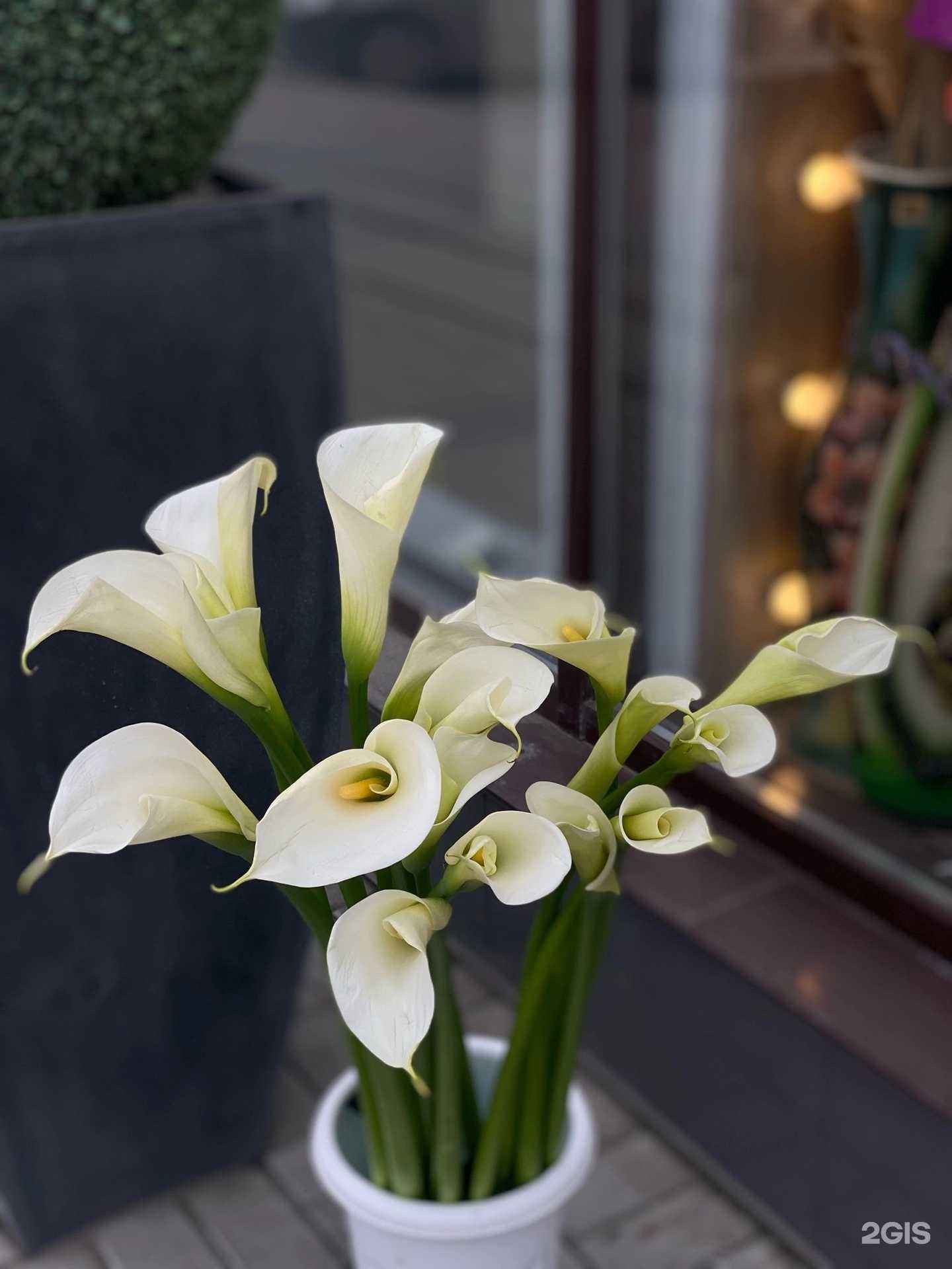 Отзывы на компанию Люксор в г. Челябинск c фото