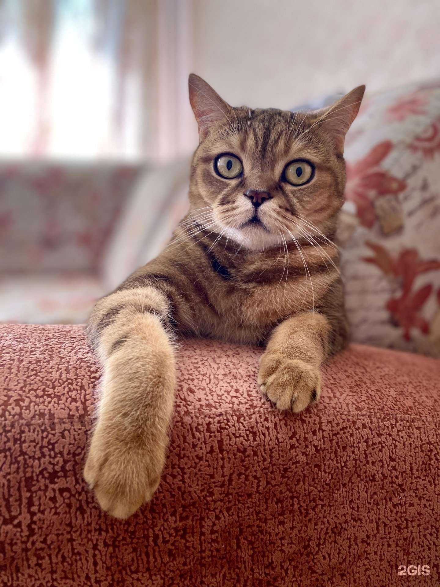 Отзывы на компанию Симбирский референтный центр ветеринарии и безопасности продовольствия в Ульяновске c фото