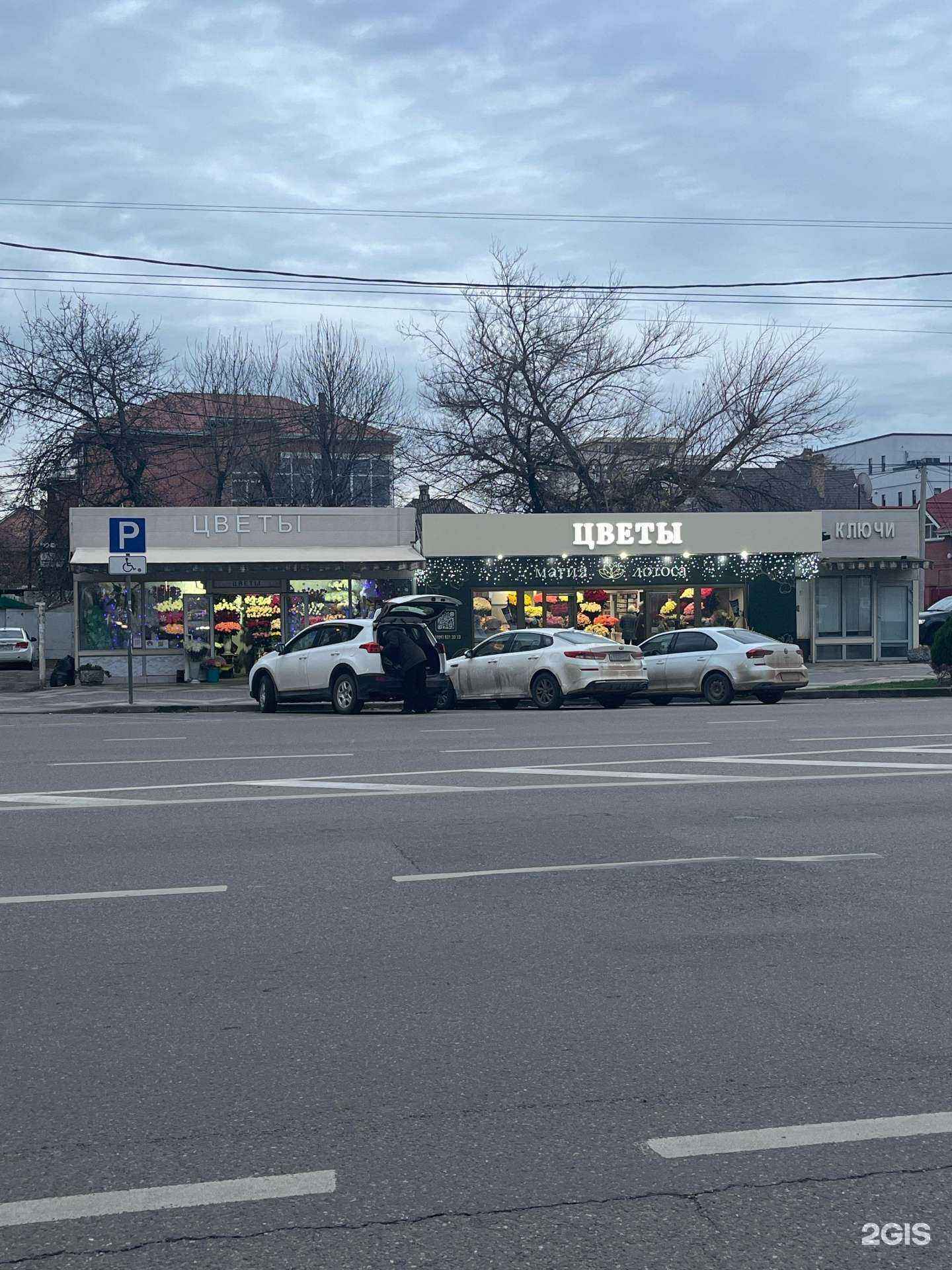 Отзывы на компанию Магия Лотоса в Краснодаре c фото - фотография 2 из 2