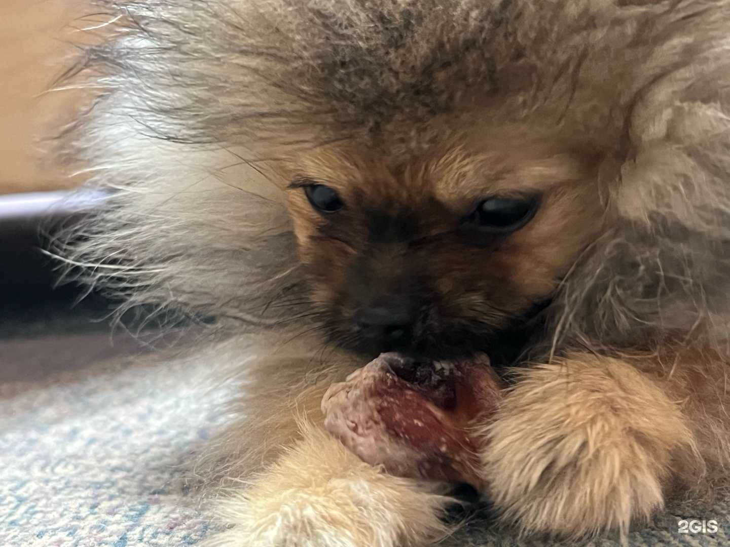 Отзывы на компанию Барбосс-Эталон в г. Новосибирск c фото