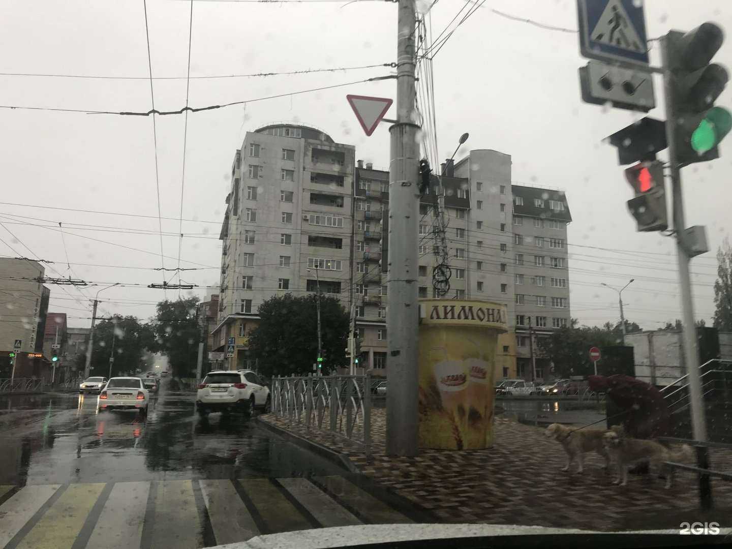 Отзывы на компанию Пчёлка в Ставрополе c фото - фотография 2 из 2