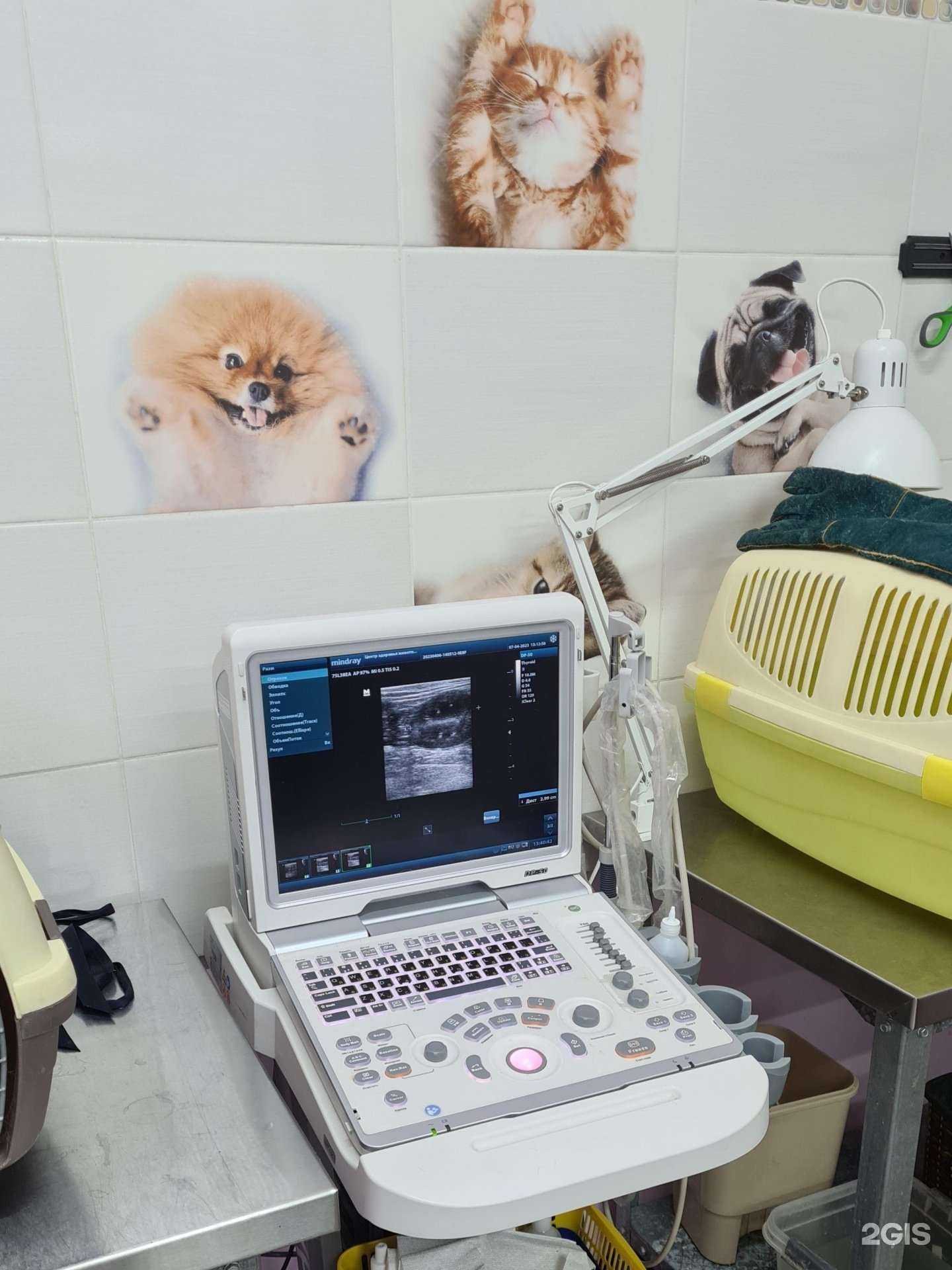 Отзывы на компанию Тортила-Вет в Троицке c фото