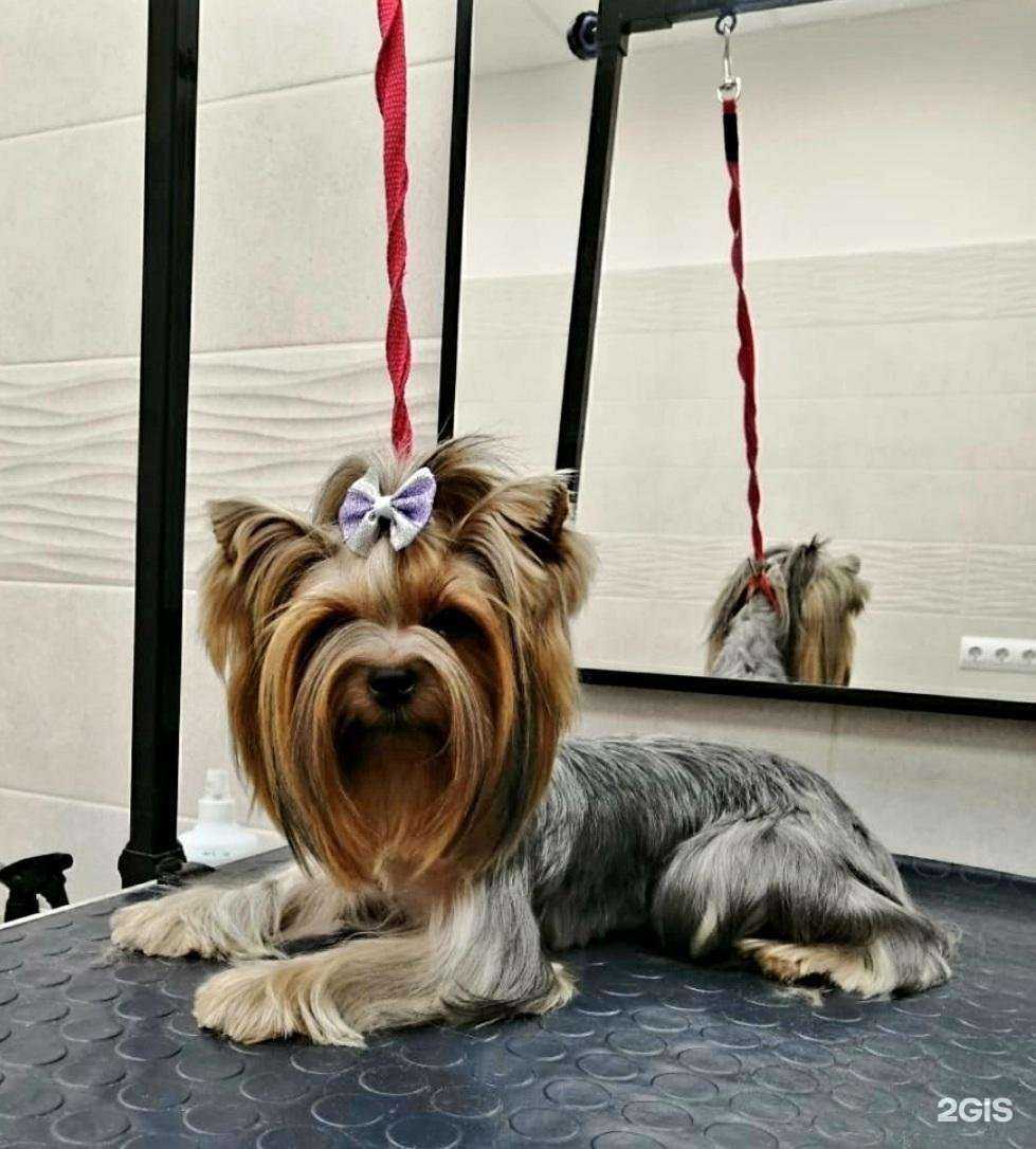 Отзывы на компанию Gav&Love в г. Нижний Новгород c фото