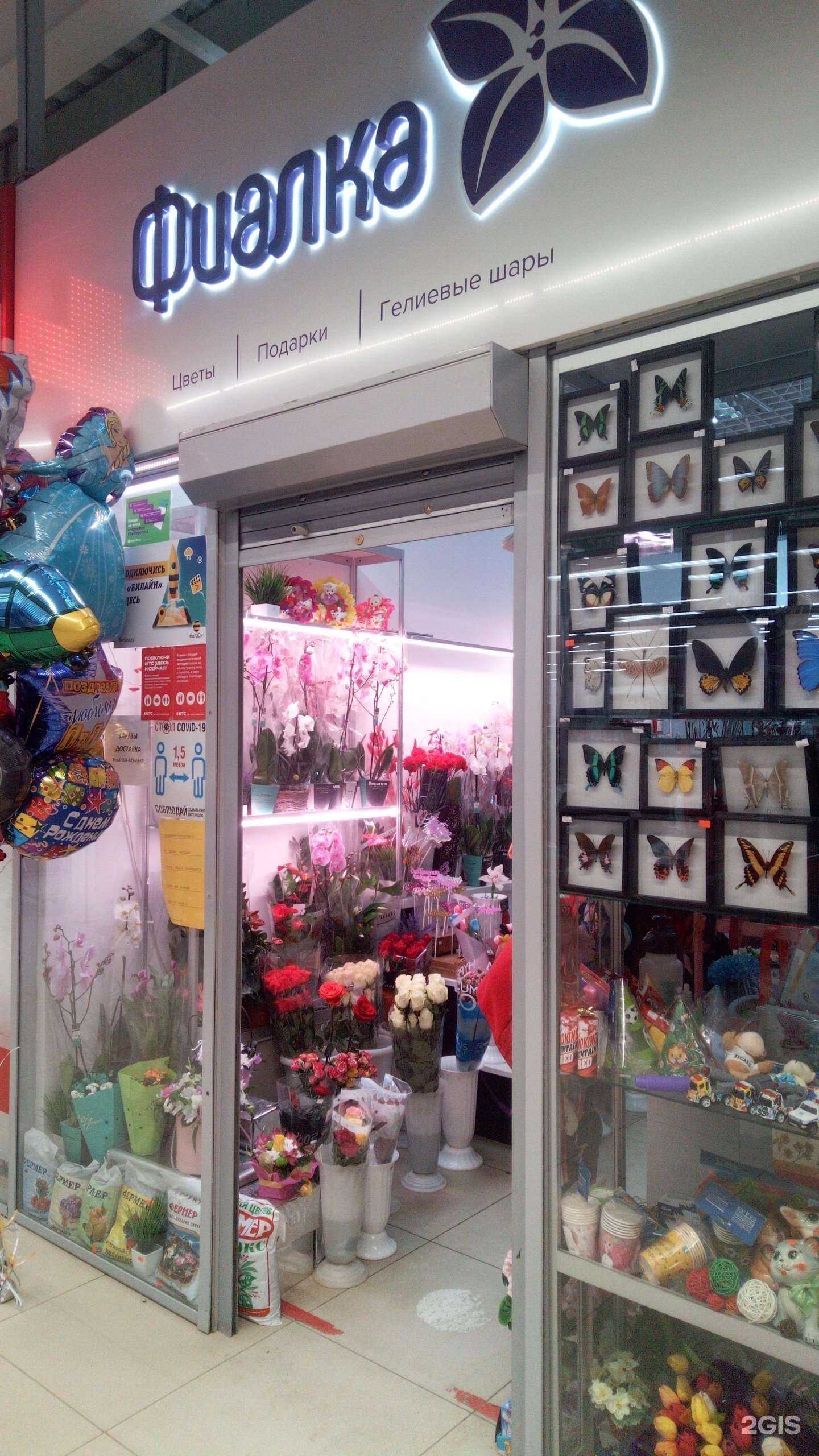 Отзывы на компанию Фиалка в г. Владимир c фото