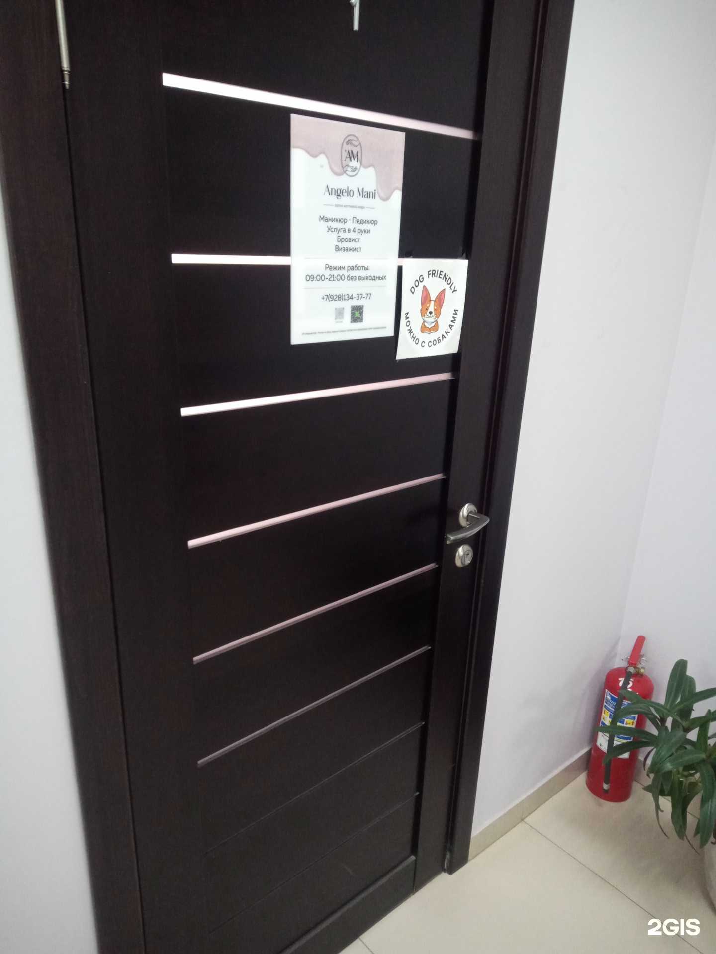 Отзывы на компанию Angelo mani в Ростове-на-Дону c фото