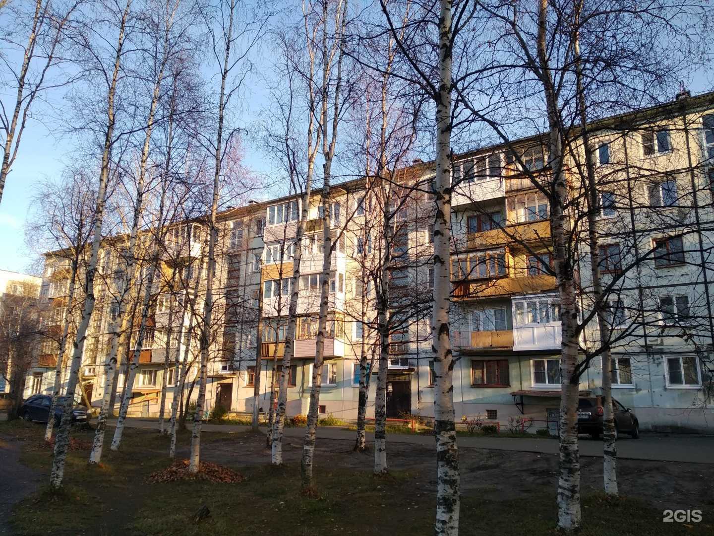 Отзывы на компанию Муза-СВ в Северодвинске c фото - фотография 2 из 2