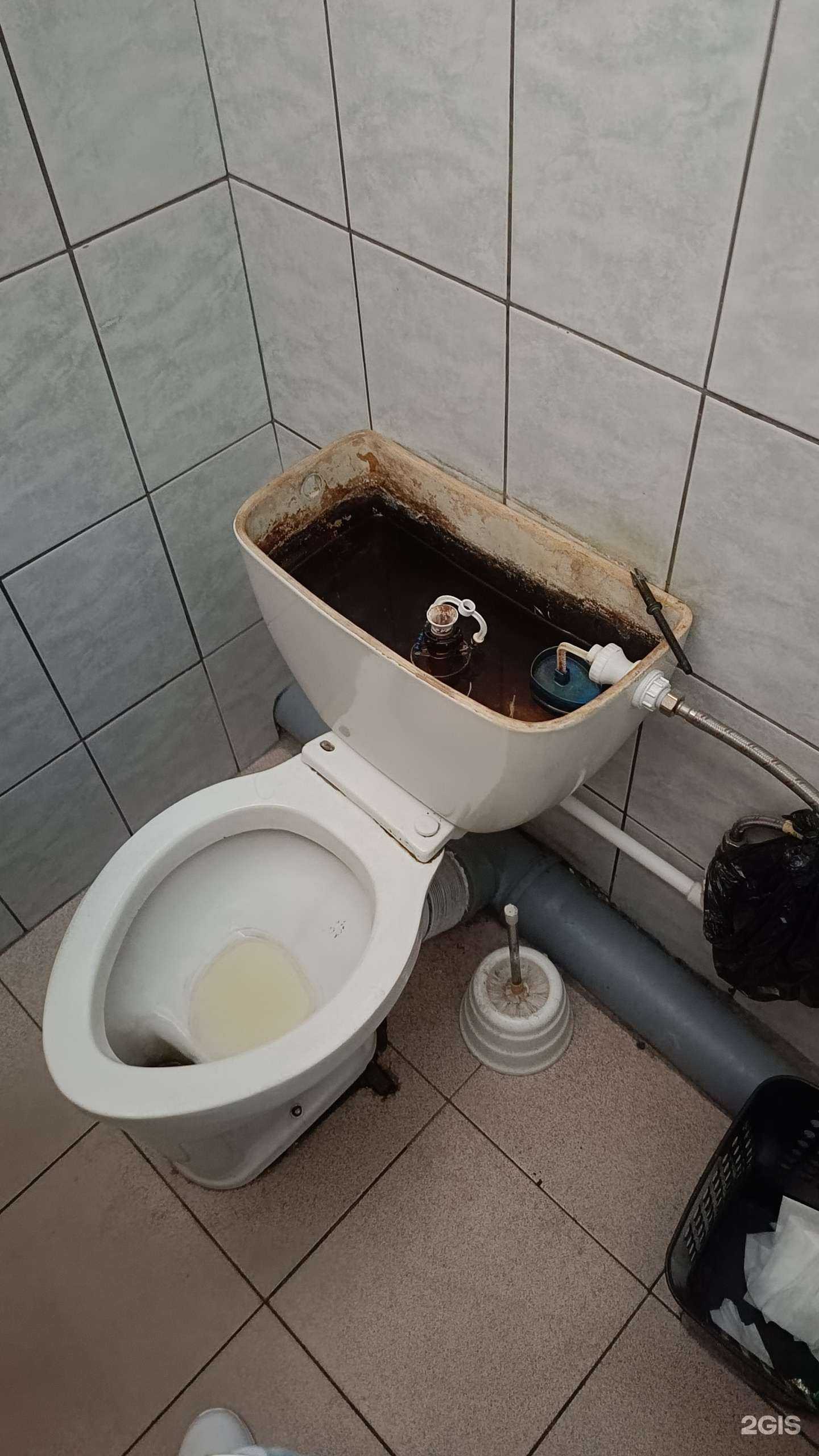 Отзывы на компанию Забайкальский государственный университет в г. Чита c фото