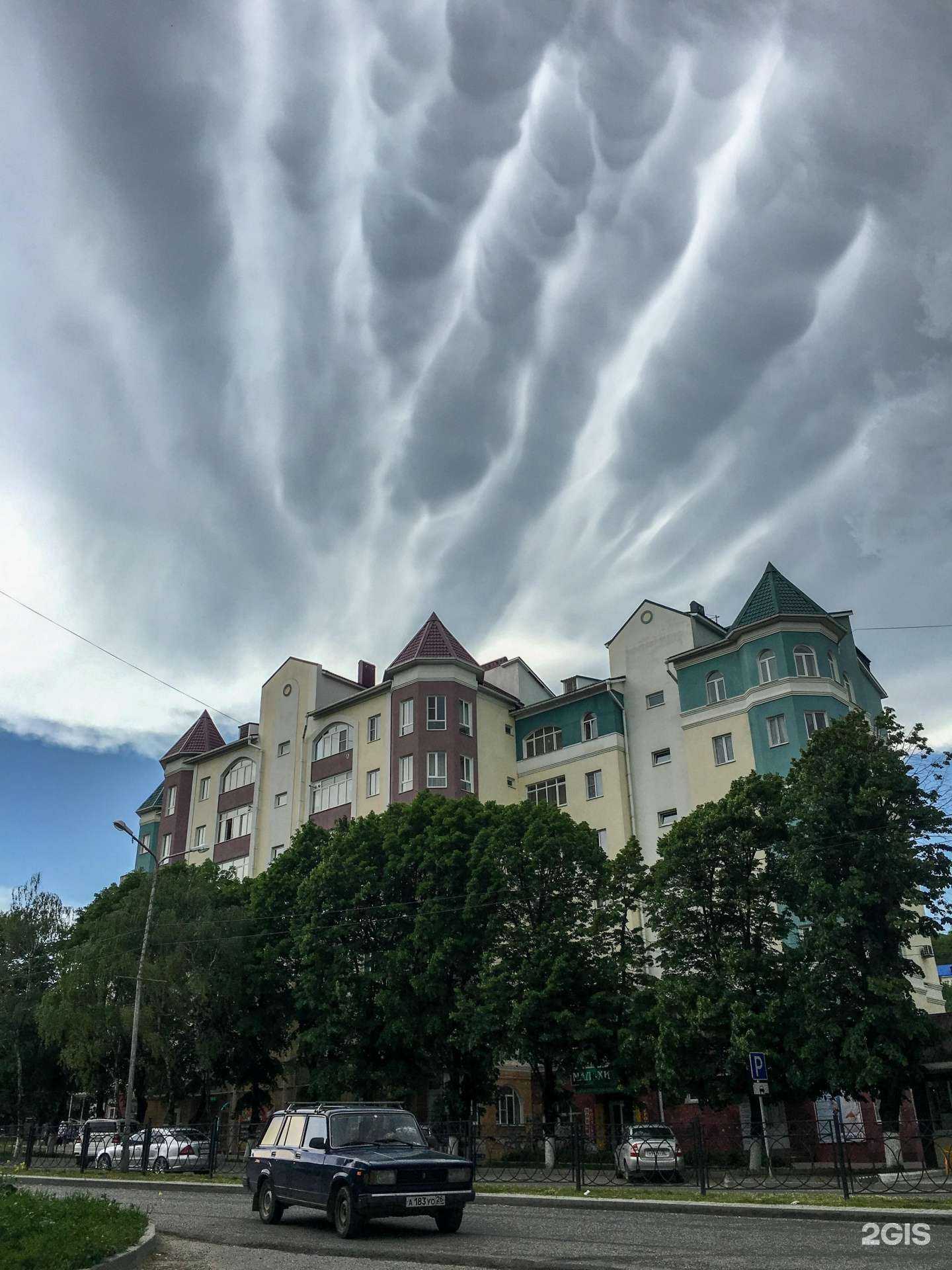 Отзывы на компанию Арабика в Железноводске c фото - фотография 2 из 2