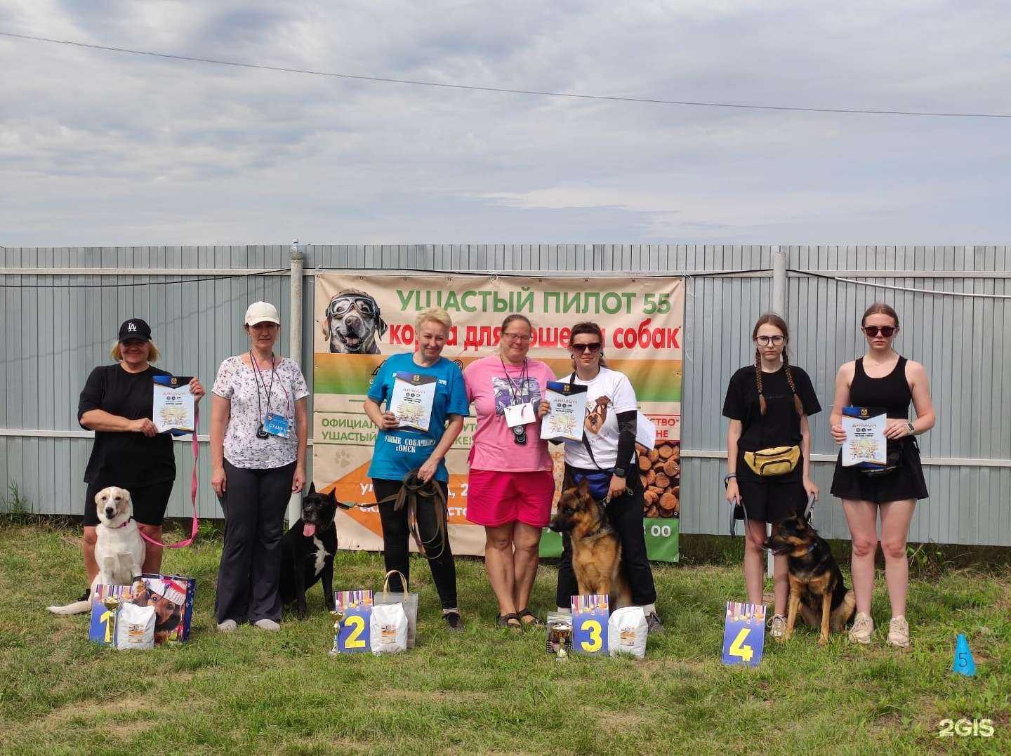 Отзывы на компанию Ушастый пилот55 в Омске c фото