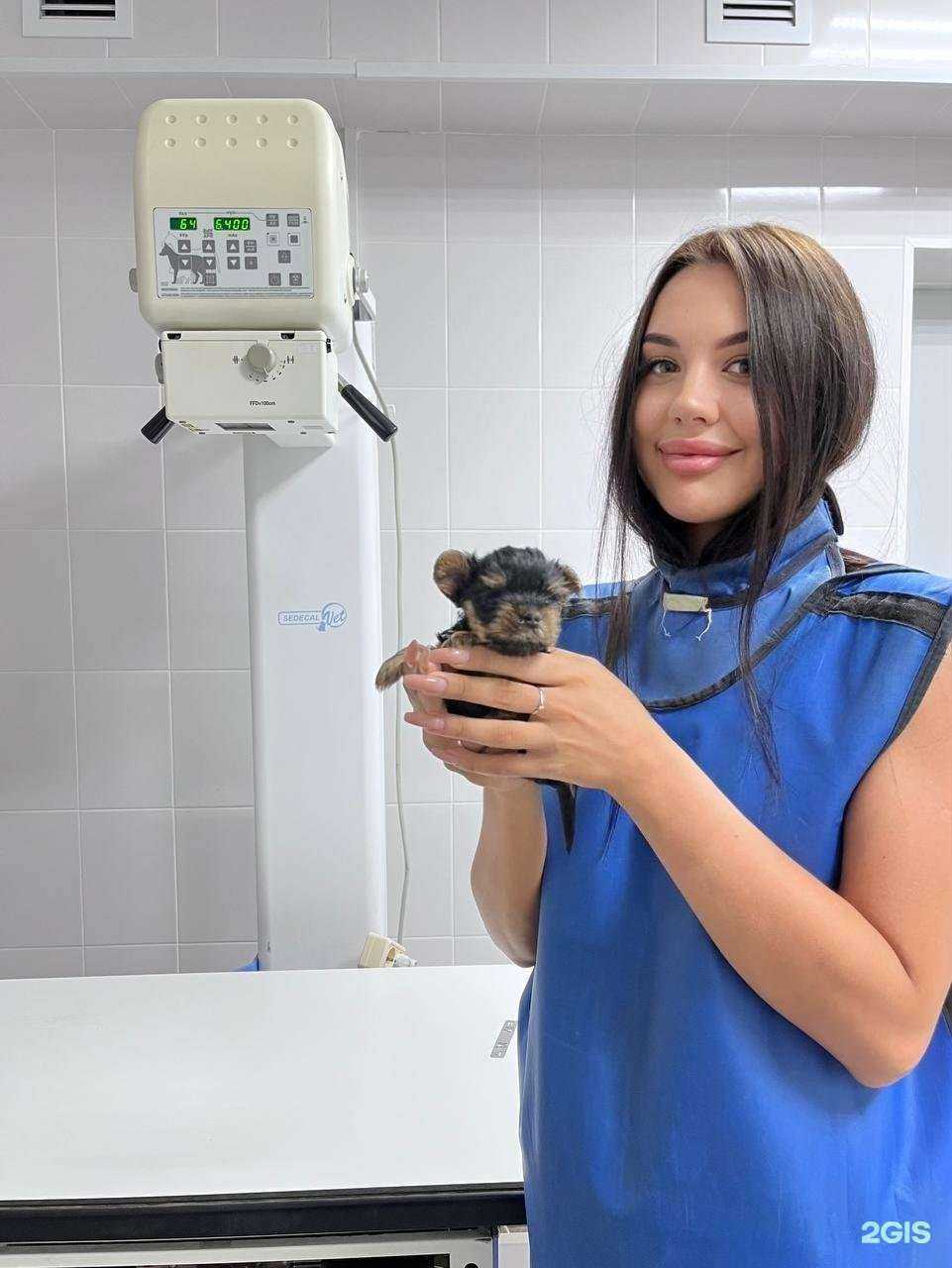 Отзывы на компанию Малыш в Чебоксарах c фото