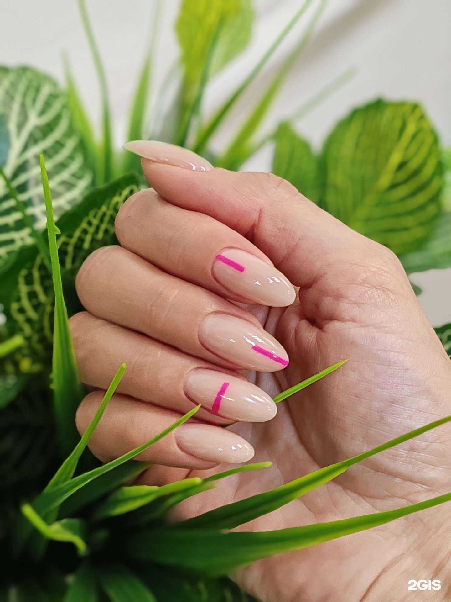 Отзывы на компанию Цаца в Краснодаре c фото