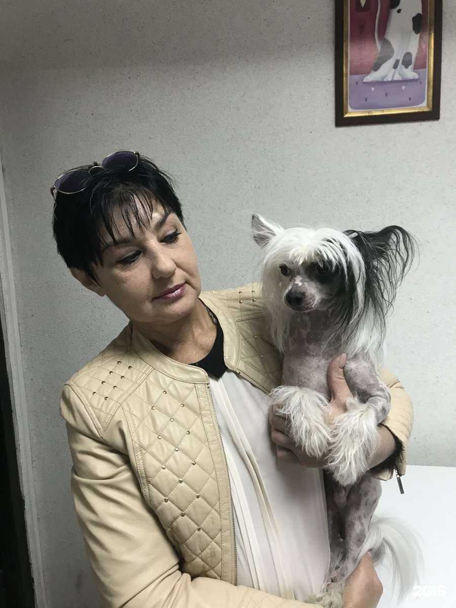 Отзывы на компанию Алиса в г. Краснодар c фото