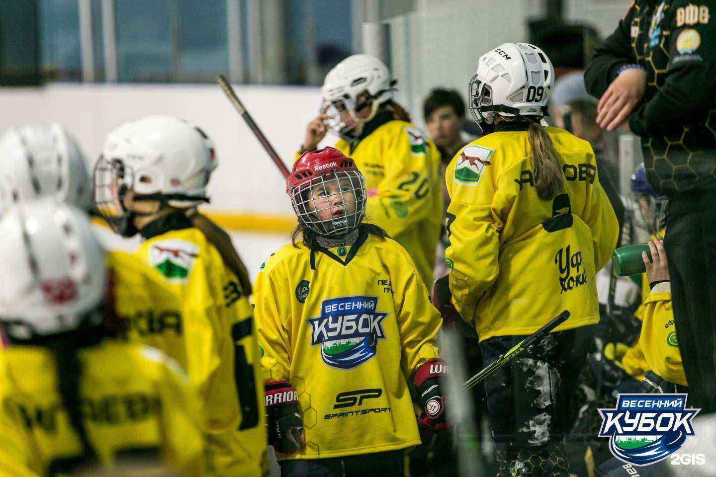 Отзывы на компанию SprintSport в Уфе c фото