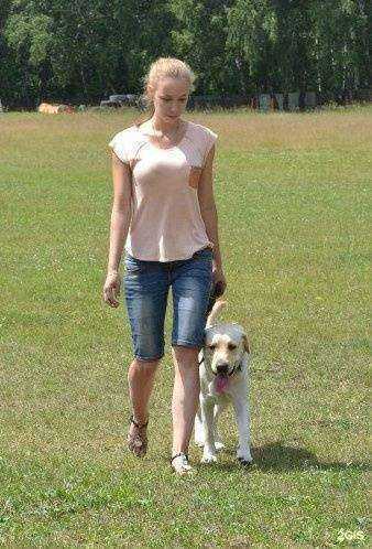 Отзывы на компанию Анкур в г. Челябинск c фото