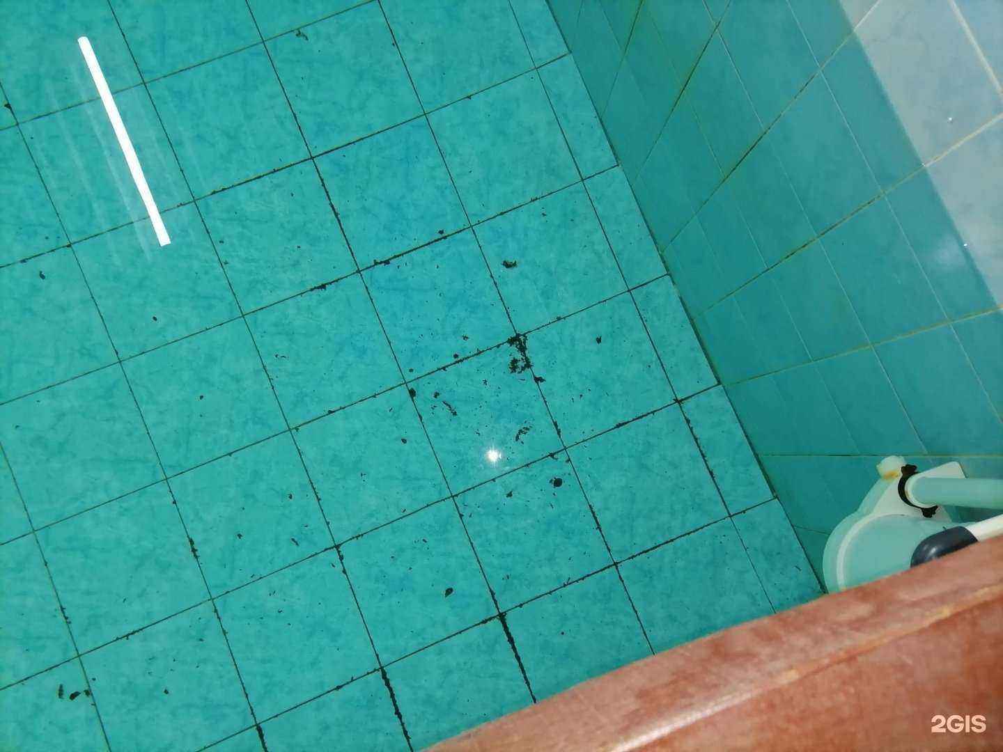 Отзывы на компанию Бани в Крестах в г. Псков c фото