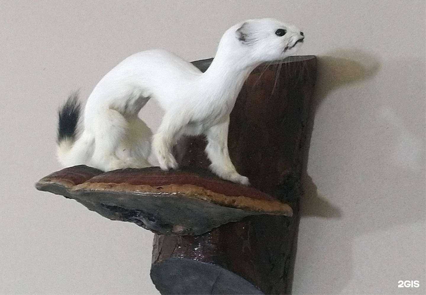 Отзывы на компанию Артикул в Чите c фото