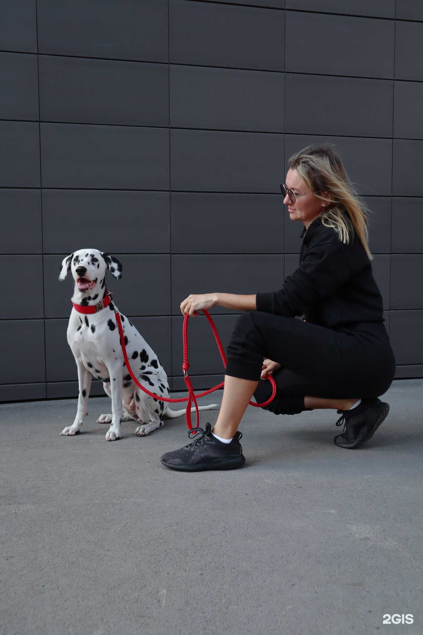 Отзывы на компанию Lioness art в г. Пермь c фото