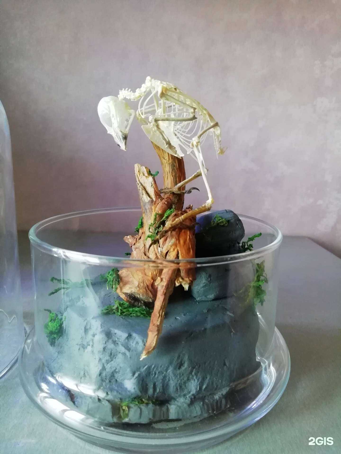 Отзывы на компанию Аквасалон в г. Тольятти c фото