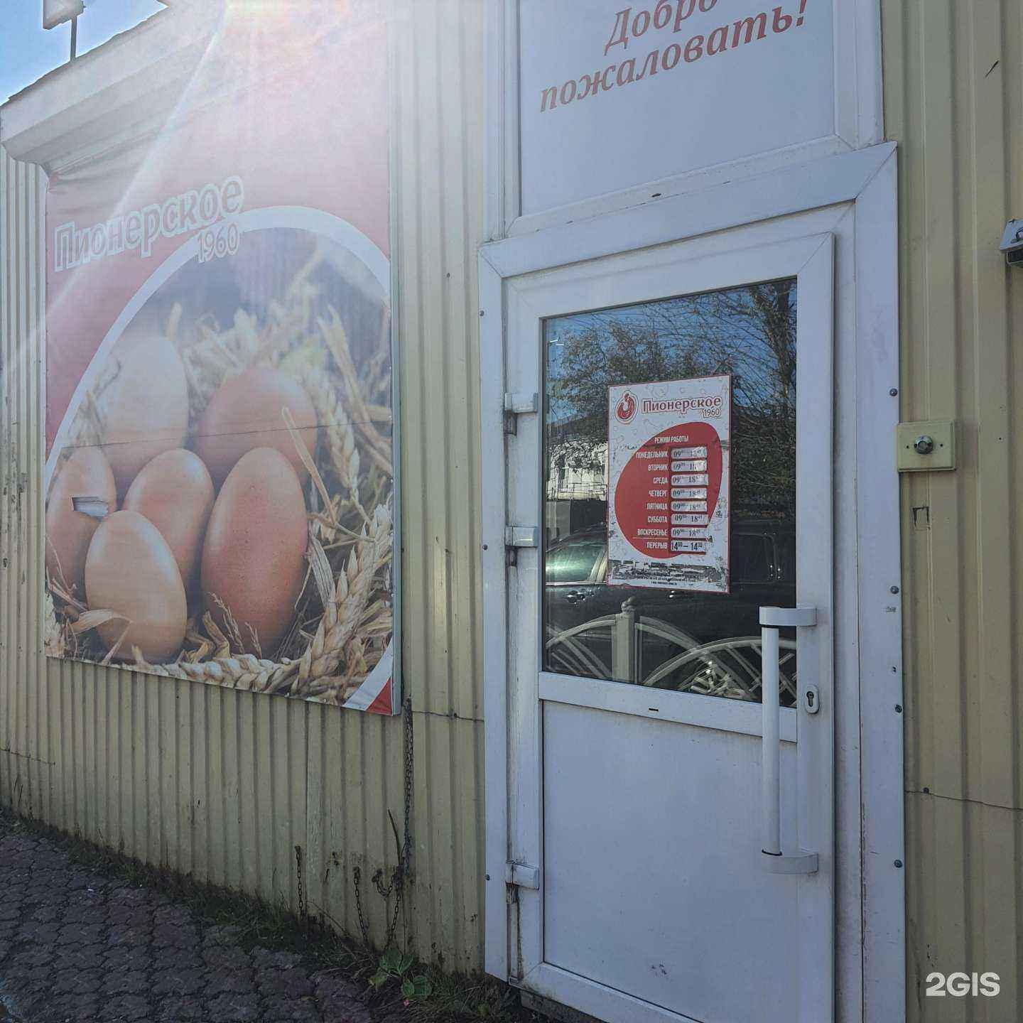 Отзывы на компанию Пионерское в Елизове c фото