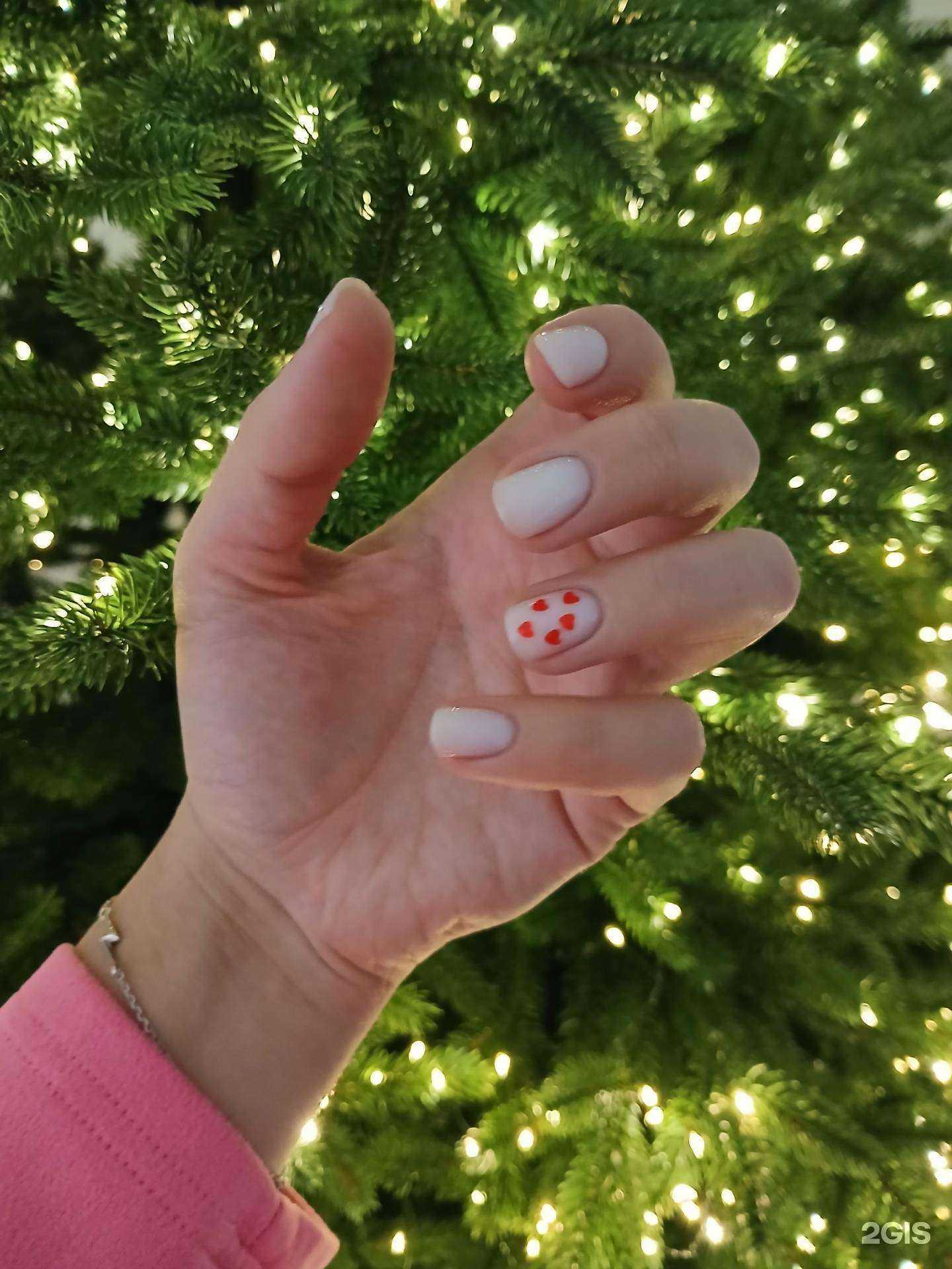 Отзывы на компанию Bronze в Архангельске c фото