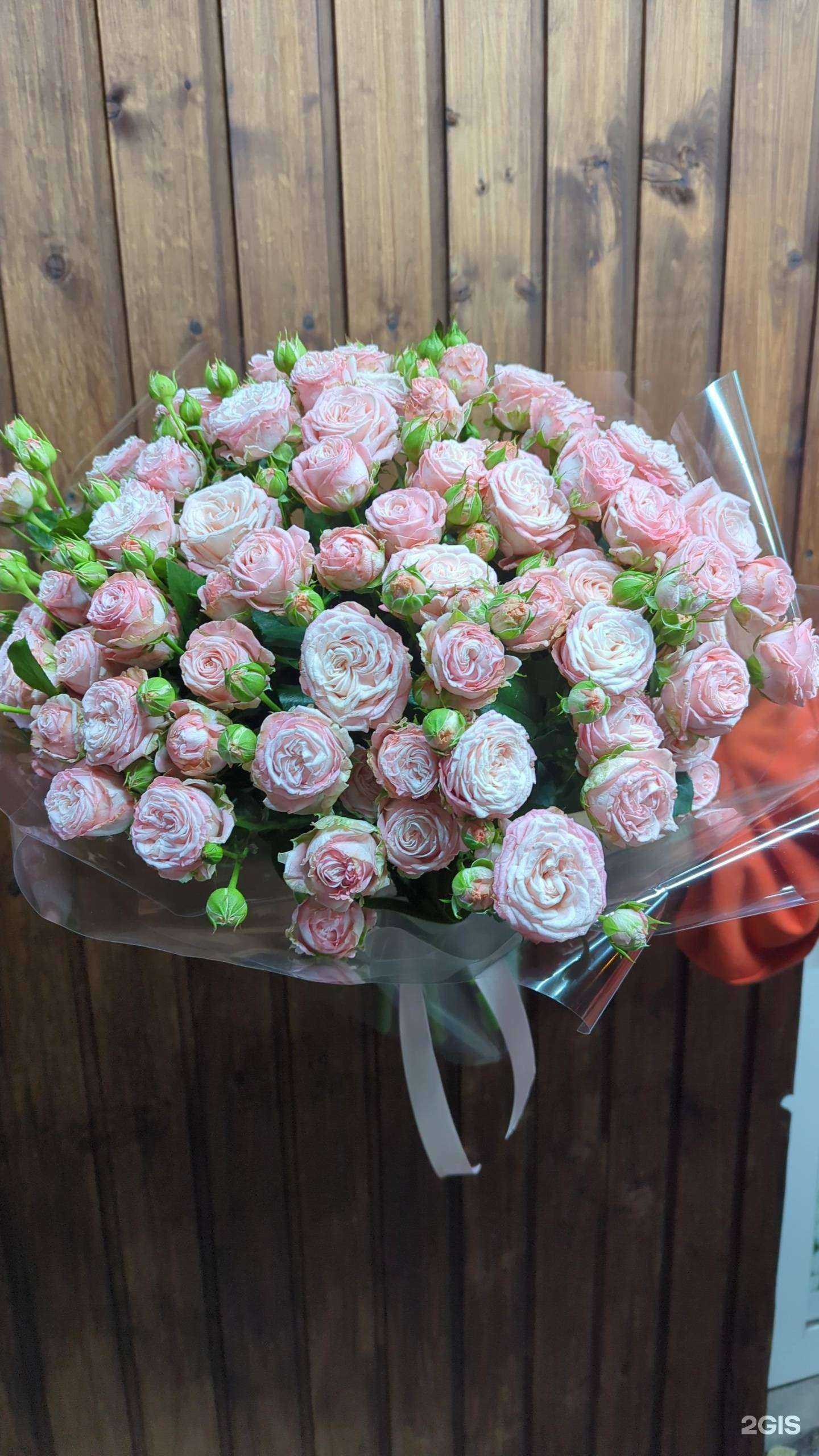 Отзывы на компанию Цветы Мира в г. Красноярск c фото