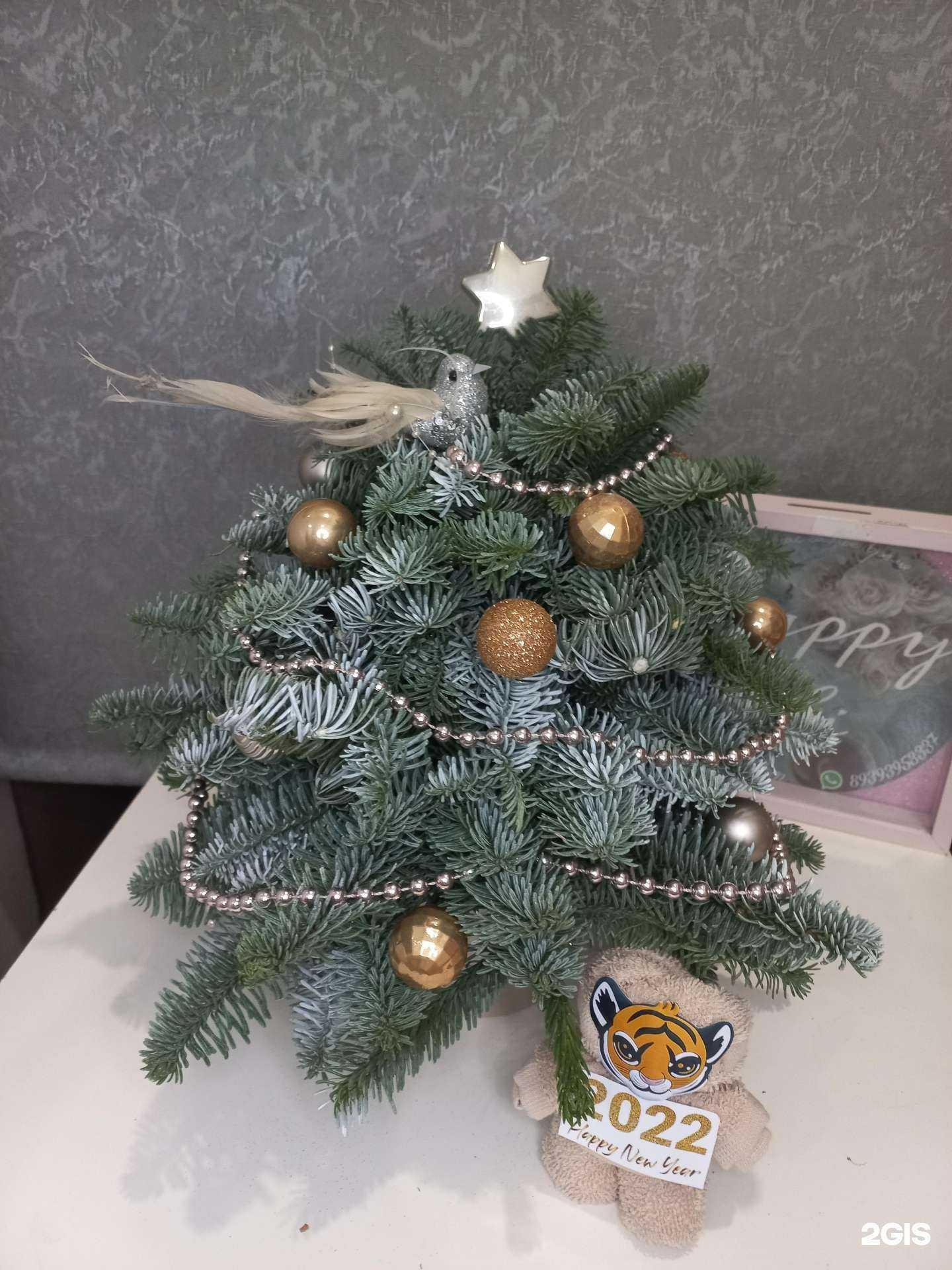 Отзывы на компанию Bloom Dom в г. Казань c фото