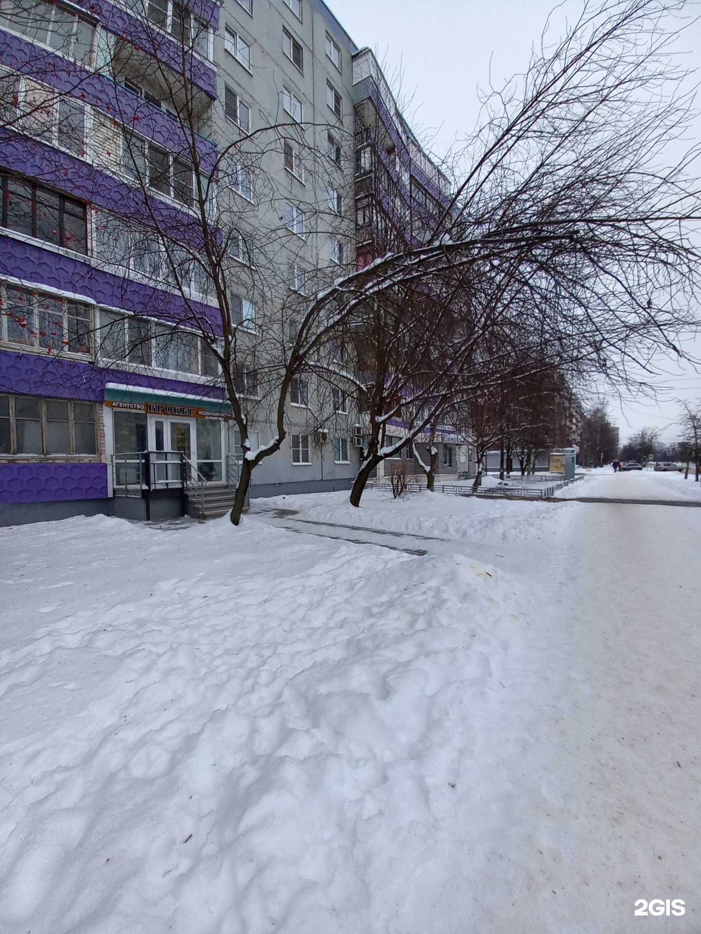 Отзывы на компанию Брокер в Великом Новгороде c фото
