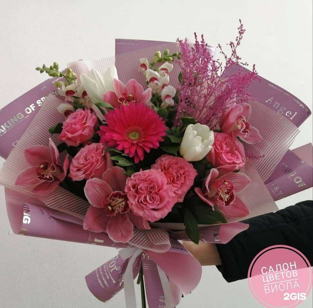 Отзывы на компанию Виола в Омске c фото