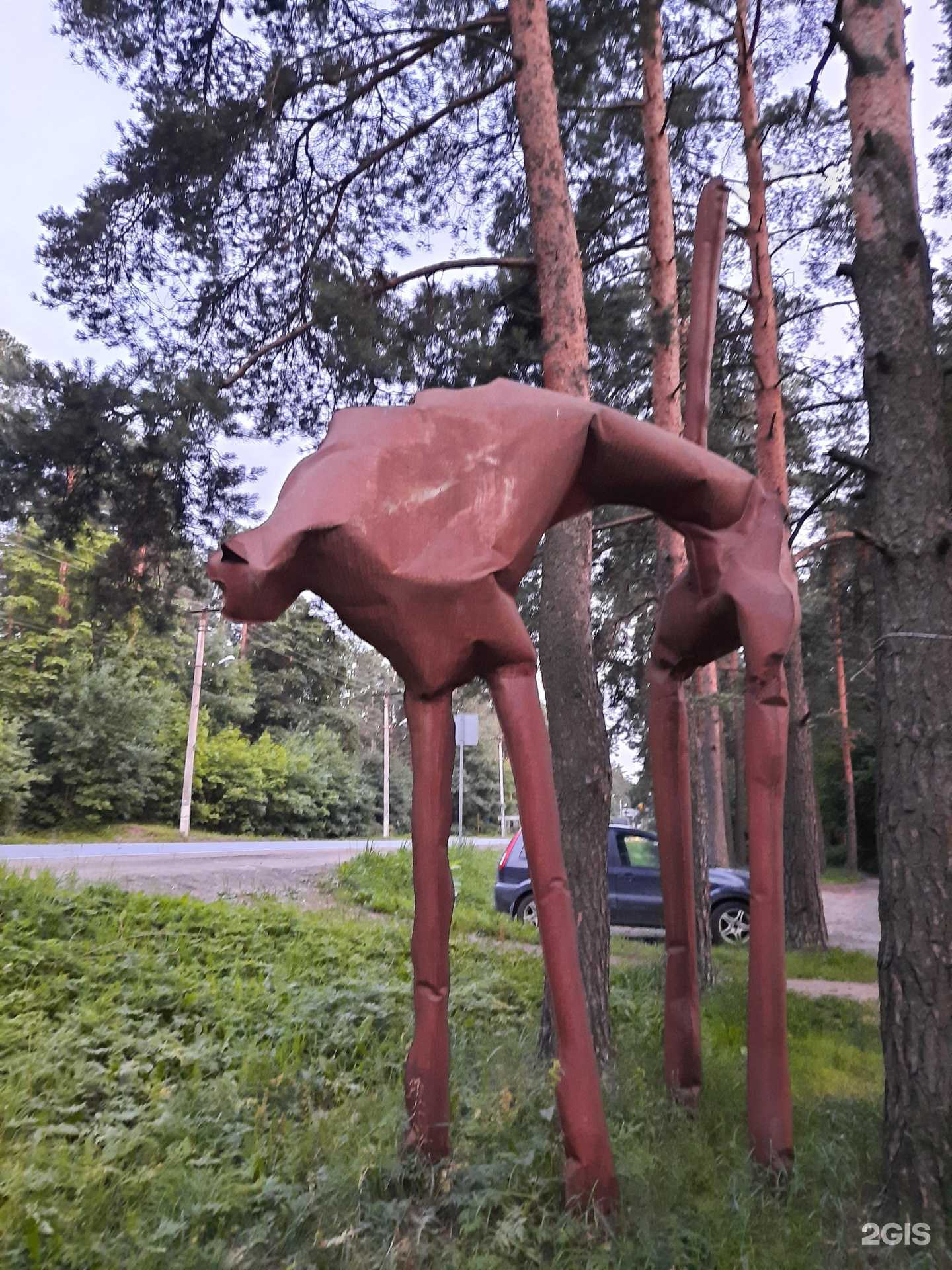 Отзывы на компанию ЭЛВЕТ в Всеволожске c фото - фотография 2 из 2