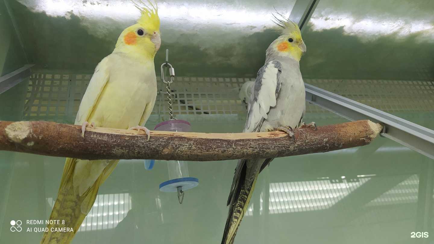 Отзывы на компанию Бонифаций в г. Пермь c фото