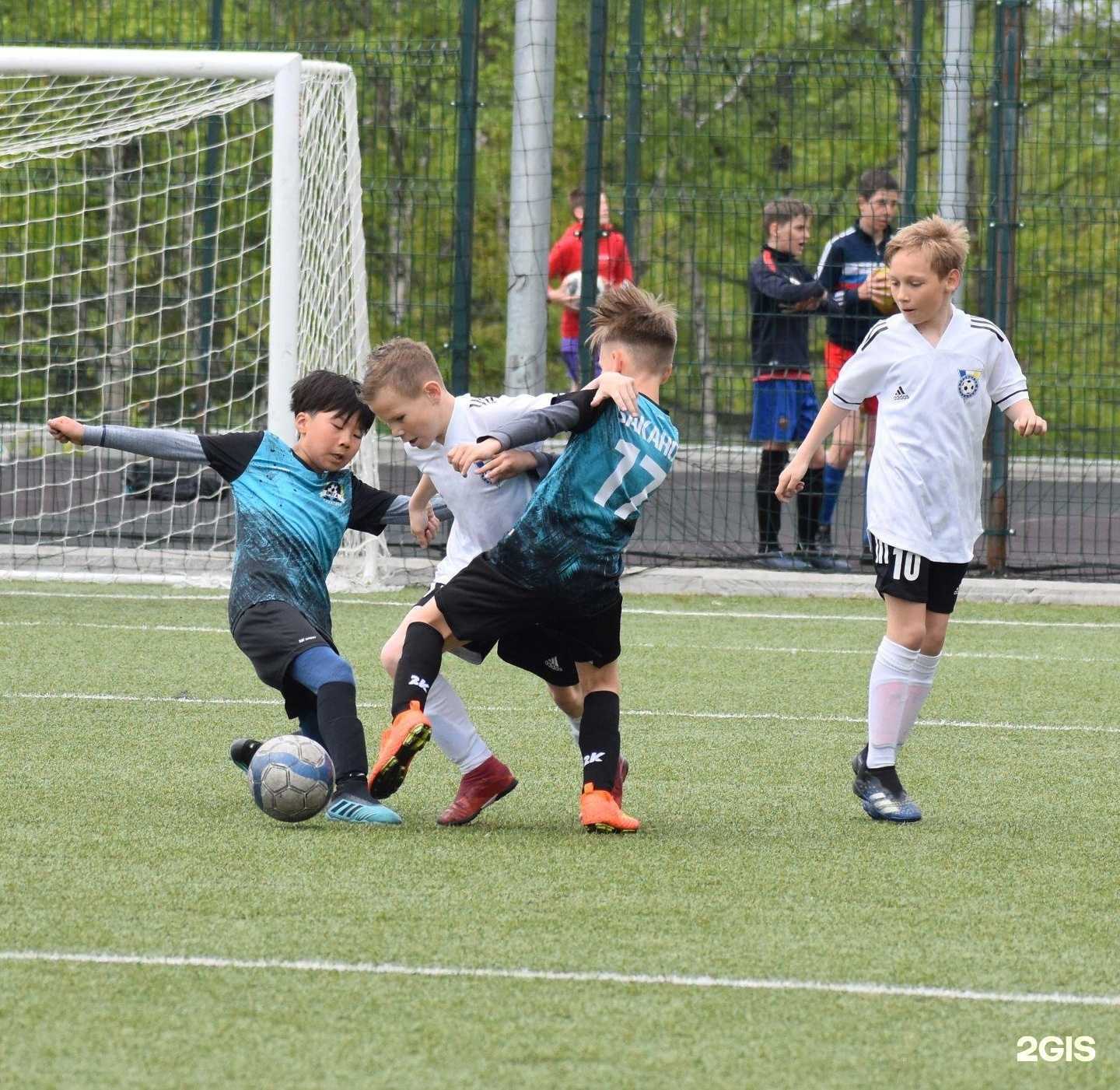 Отзывы на компанию Омега-Сахалин в г. Южно-Сахалинск c фото