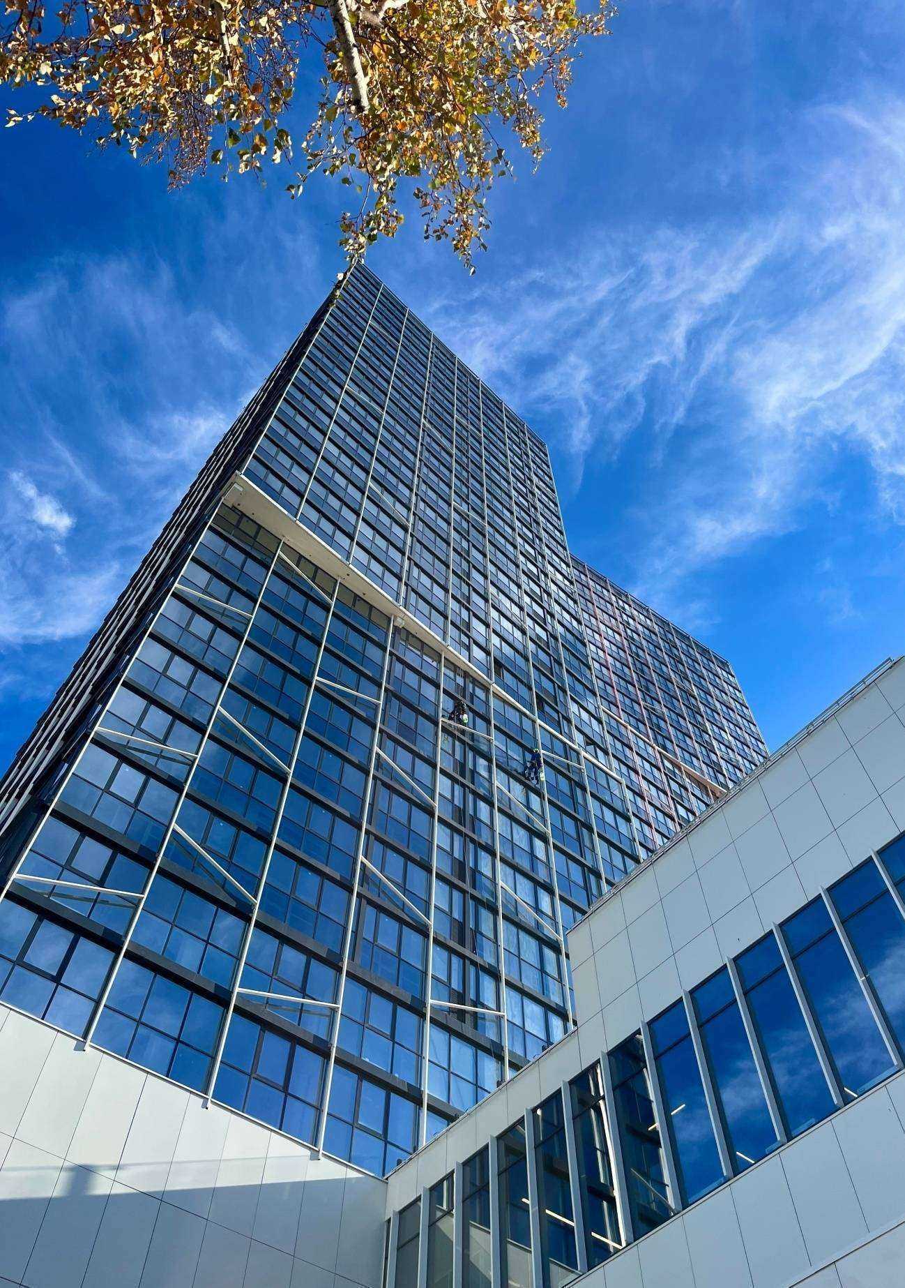 Отзывы на компанию DNS в Челябинске c фото - фотография 2 из 2