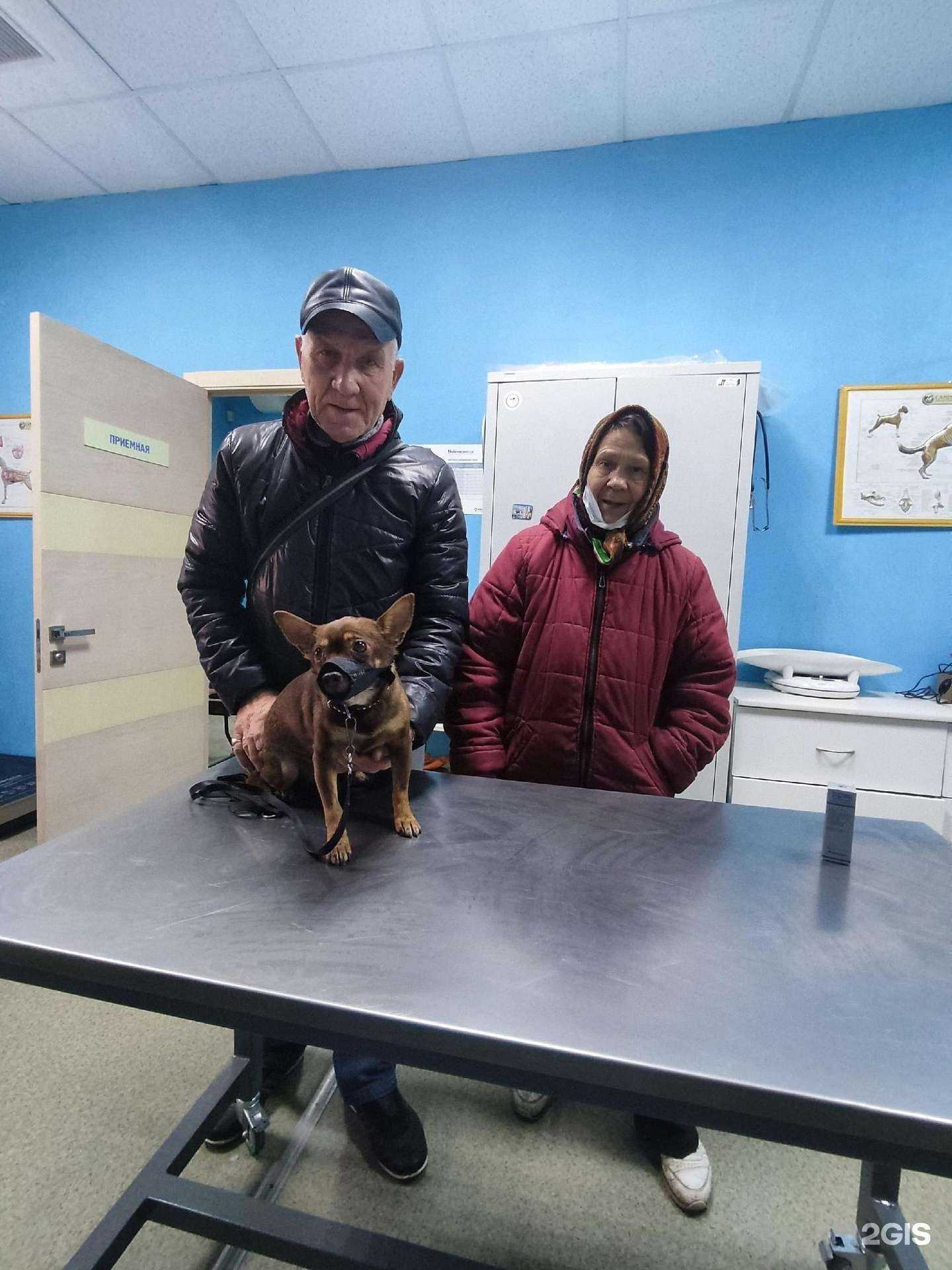 Отзывы на компанию Маленький принц в г. Тольятти c фото