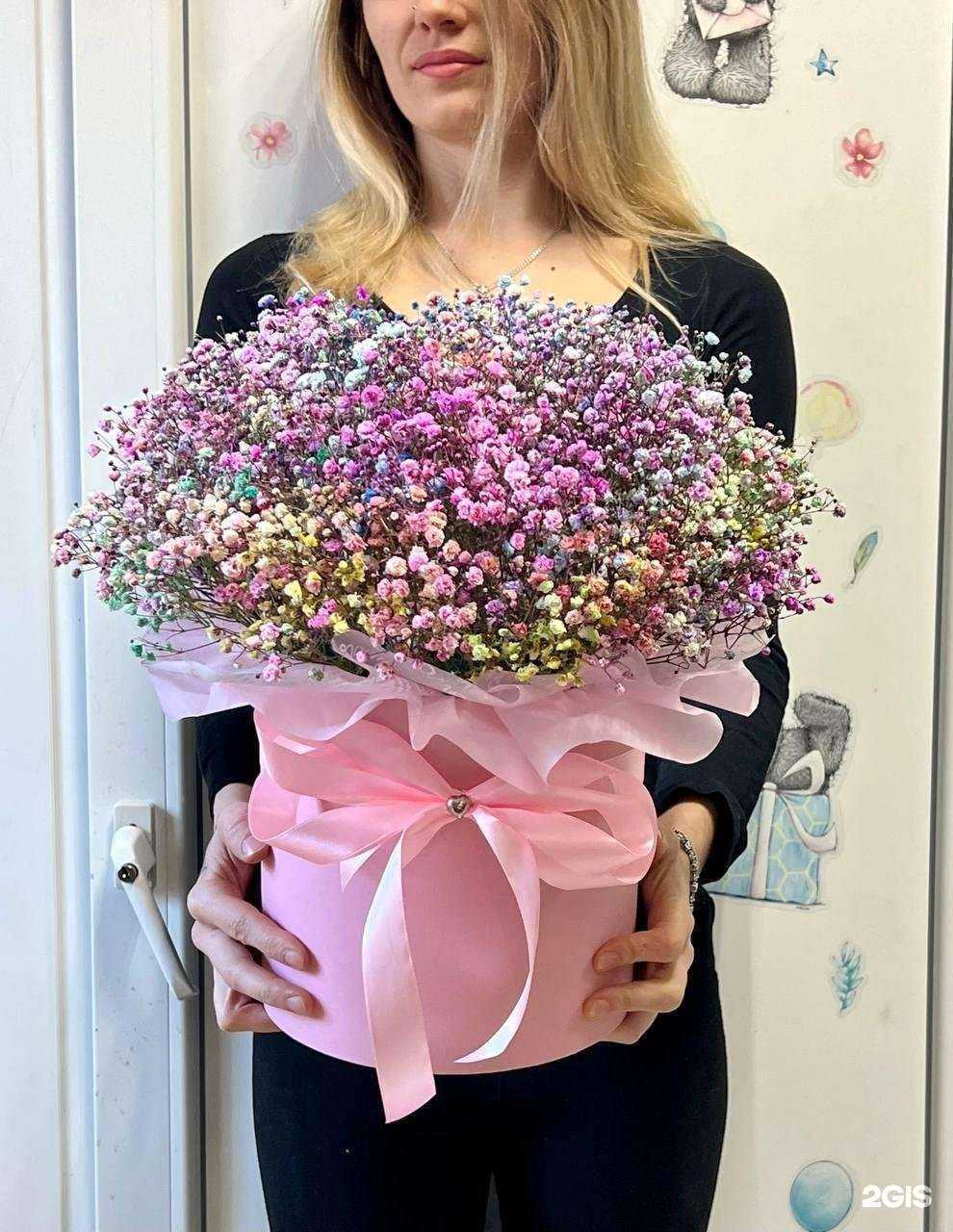 Отзывы на компанию Daisy в Краснодаре c фото