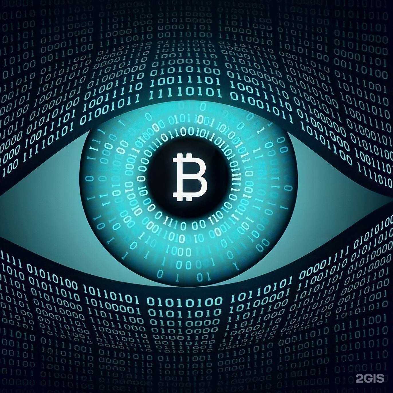 Отзывы на компанию Elementi в Калининграде c фото