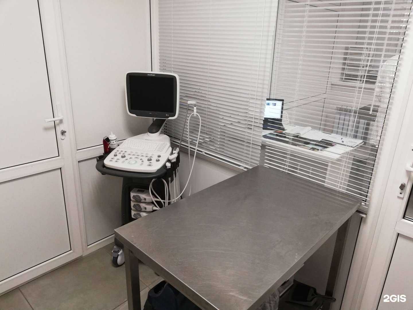 Отзывы на компанию Клиника ветеринарной медицины в г. Самара c фото