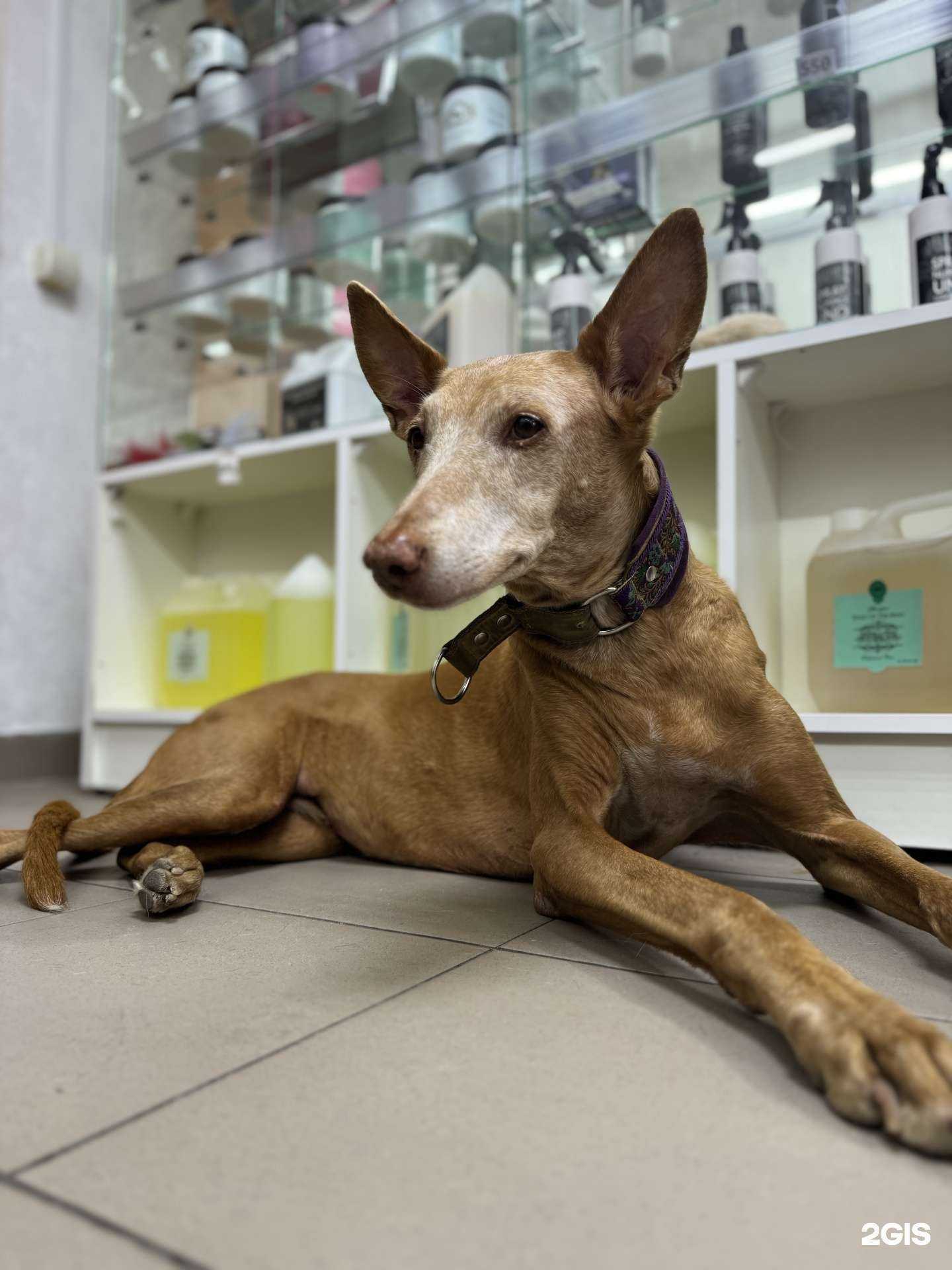 Отзывы на компанию Красавчик в г. Ростов-на-Дону c фото