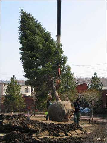 Отзывы на компанию Территория Премиум в Челябинске c фото