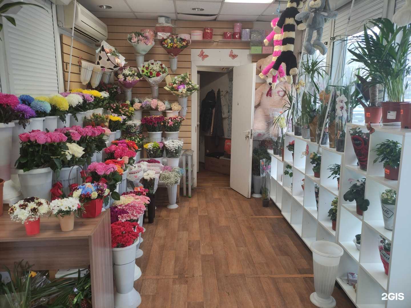 Отзывы на компанию Магазин цветов в г. Серпухов c фото