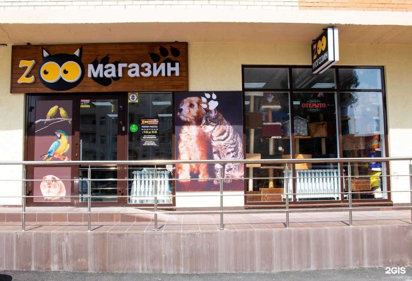 Отзывы на компанию ZOOмагазин Kitten@Puppy в Ставрополе c фото