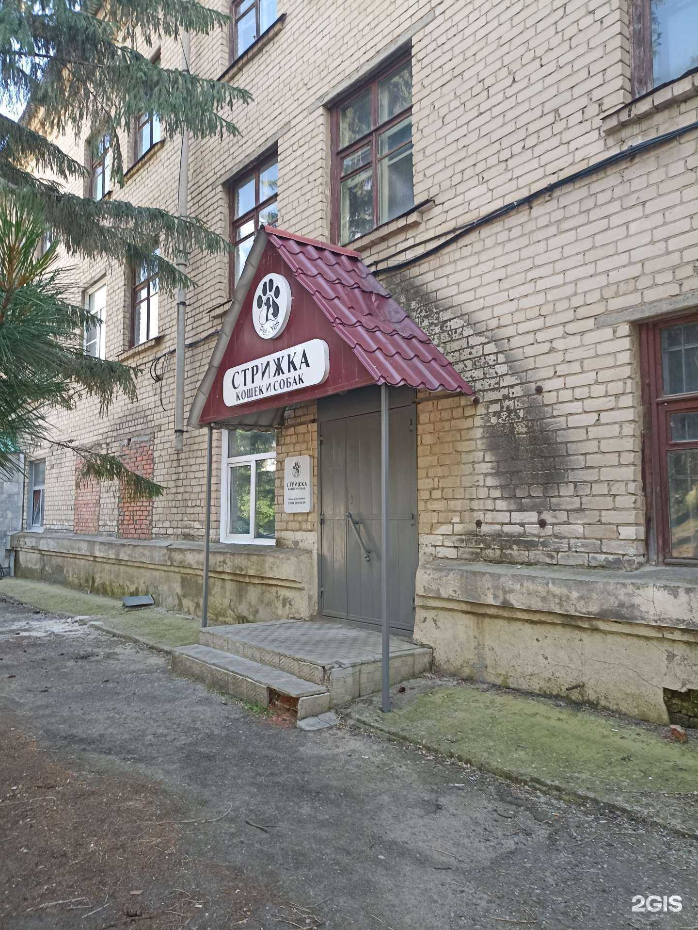 Отзывы на компанию Pet-Yes в г. Троицк c фото