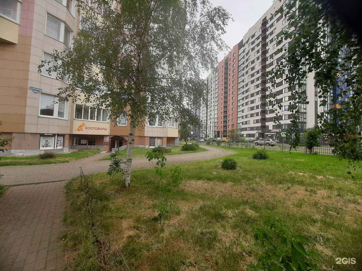 Отзывы на компанию Рыжий Кот в Калининграде c фото