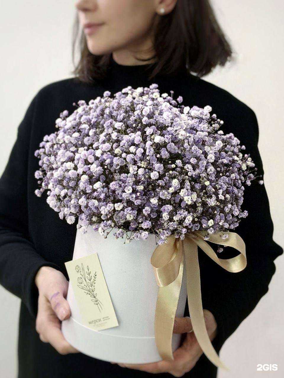 Отзывы на компанию Мерси в Йошкар-Оле c фото