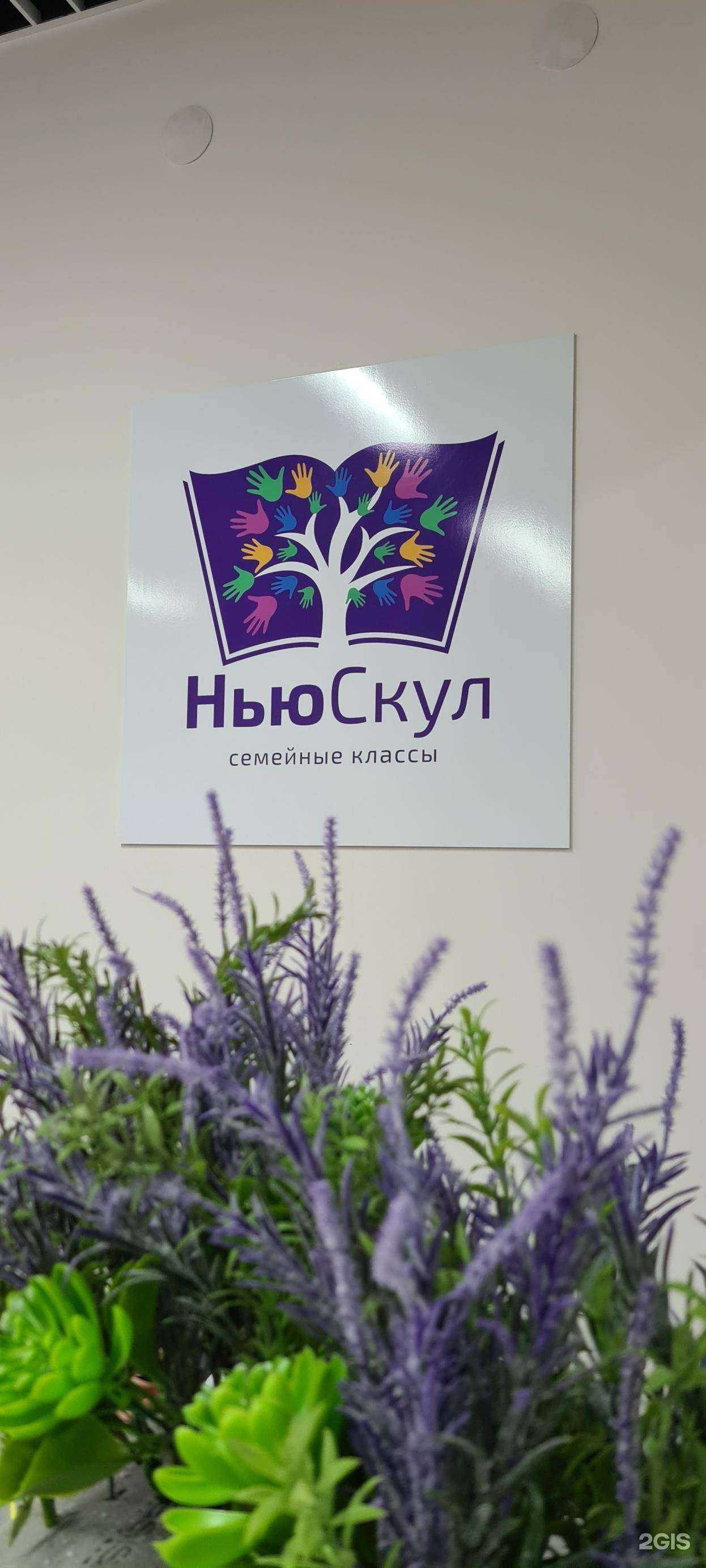 Отзывы на компанию Ньюскул в Абакане c фото