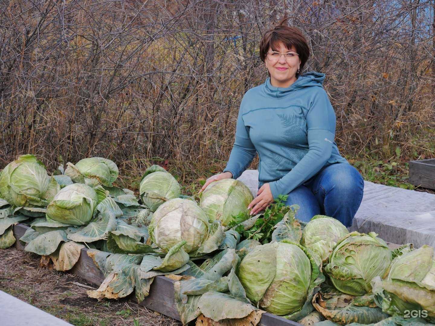 Отзывы на компанию Сияние в Барнауле c фото