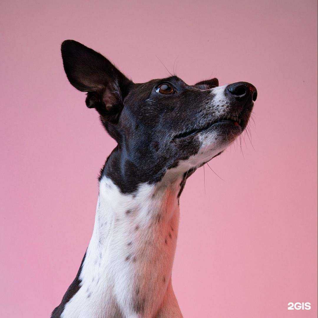 Отзывы на компанию Ле`Муррр, зоомагазин в Выксе c фото