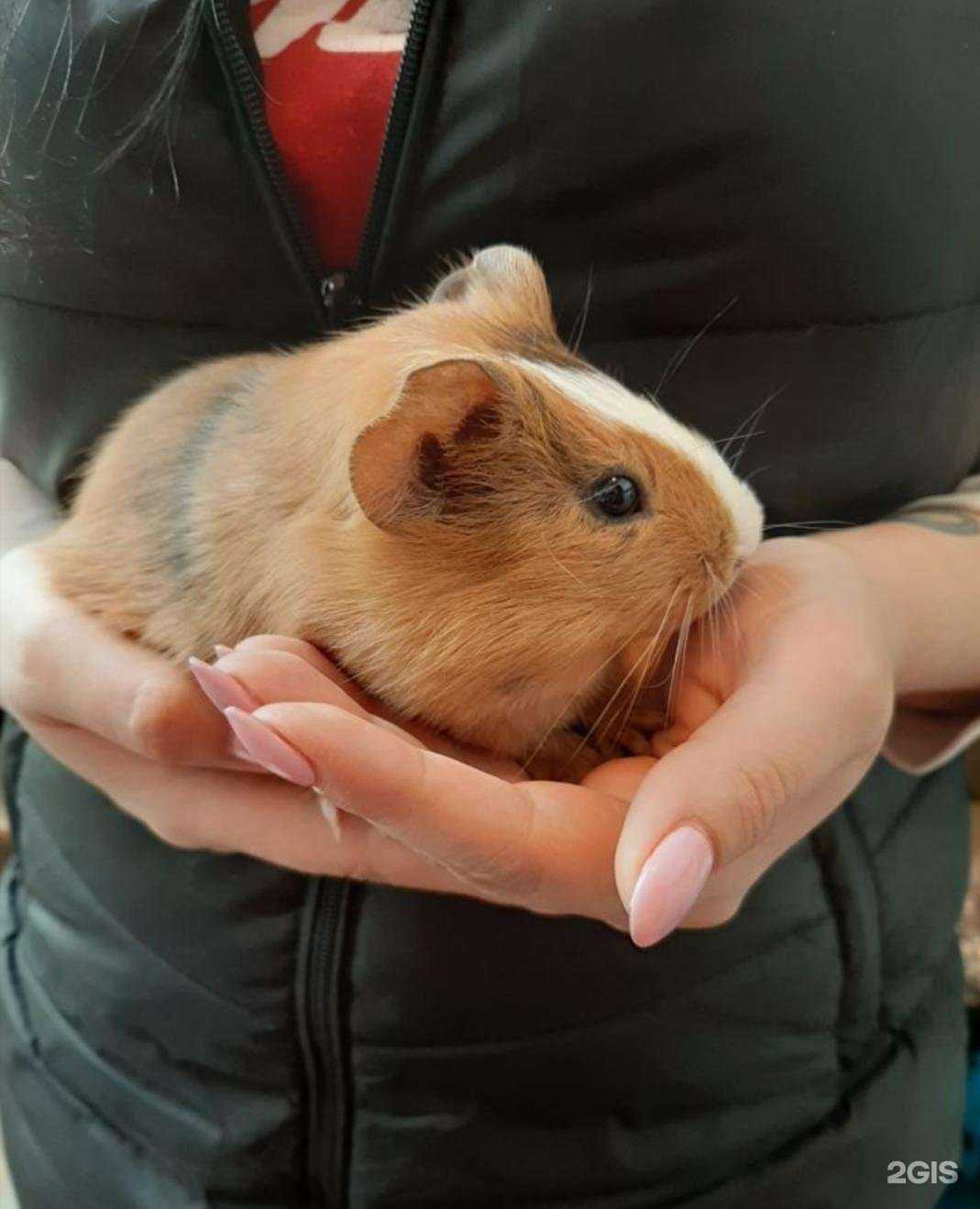 Отзывы на компанию Мир природы в г. Самара c фото