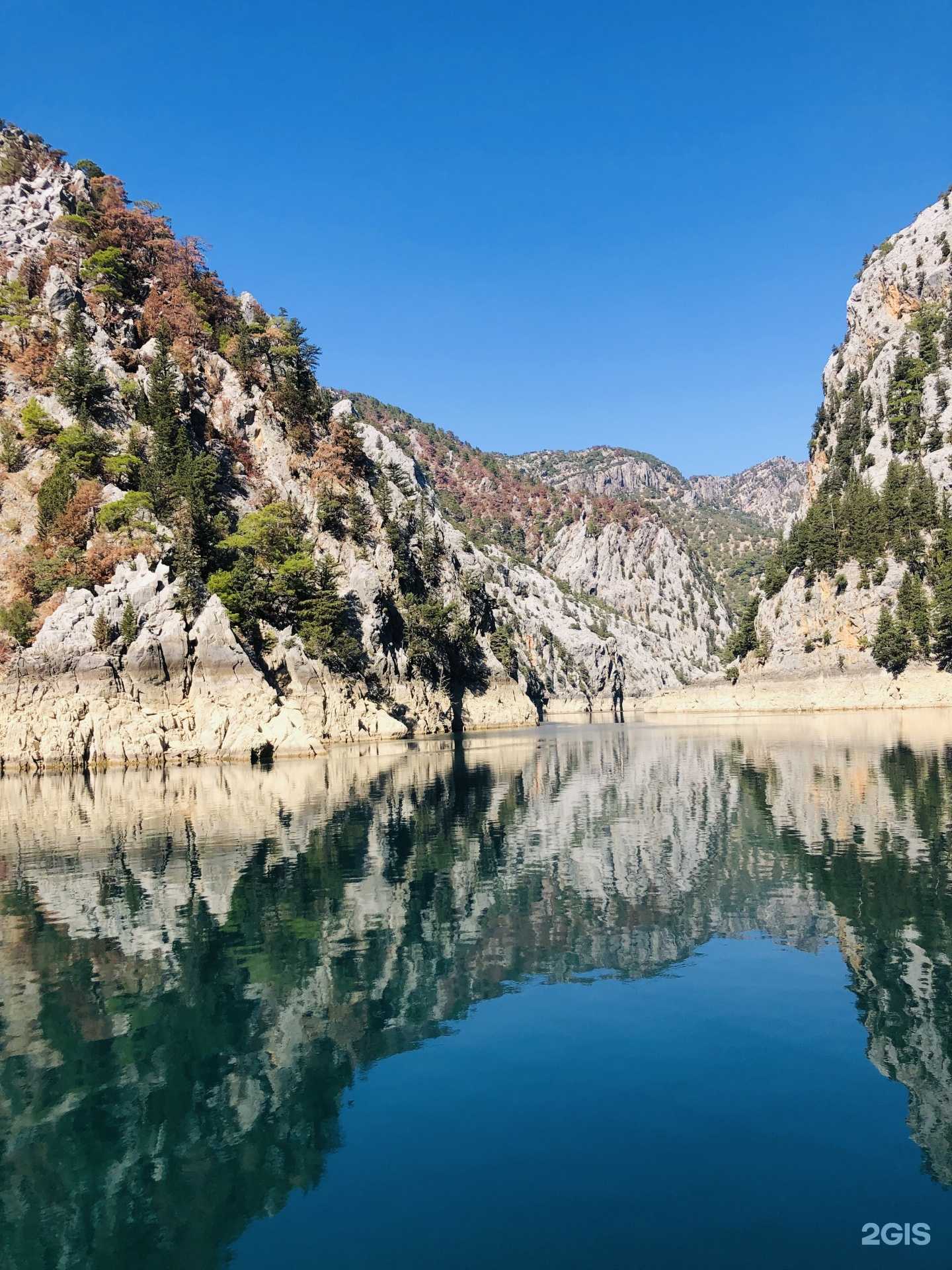 Отзывы на компанию Старлайт в г. Владимир c фото