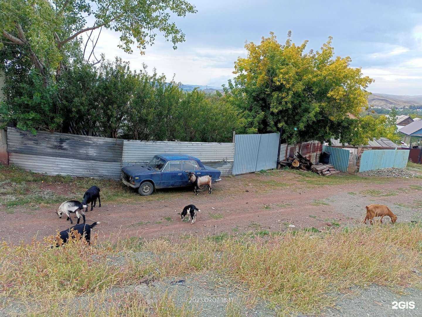 Отзывы на компанию Мелекесов в Медногорске c фото