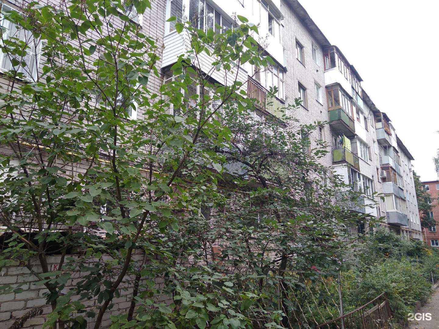 Отзывы на компанию Фея в Твери c фото - фотография 2 из 2